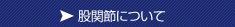 股関節について